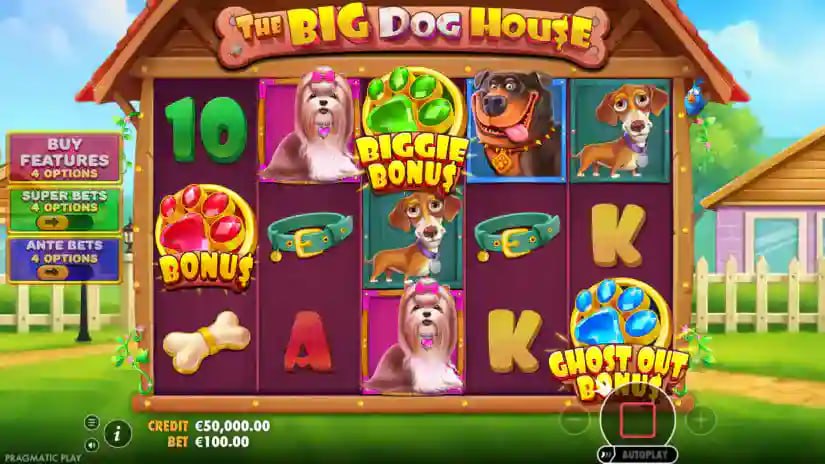 the big dog house покупка бонуса